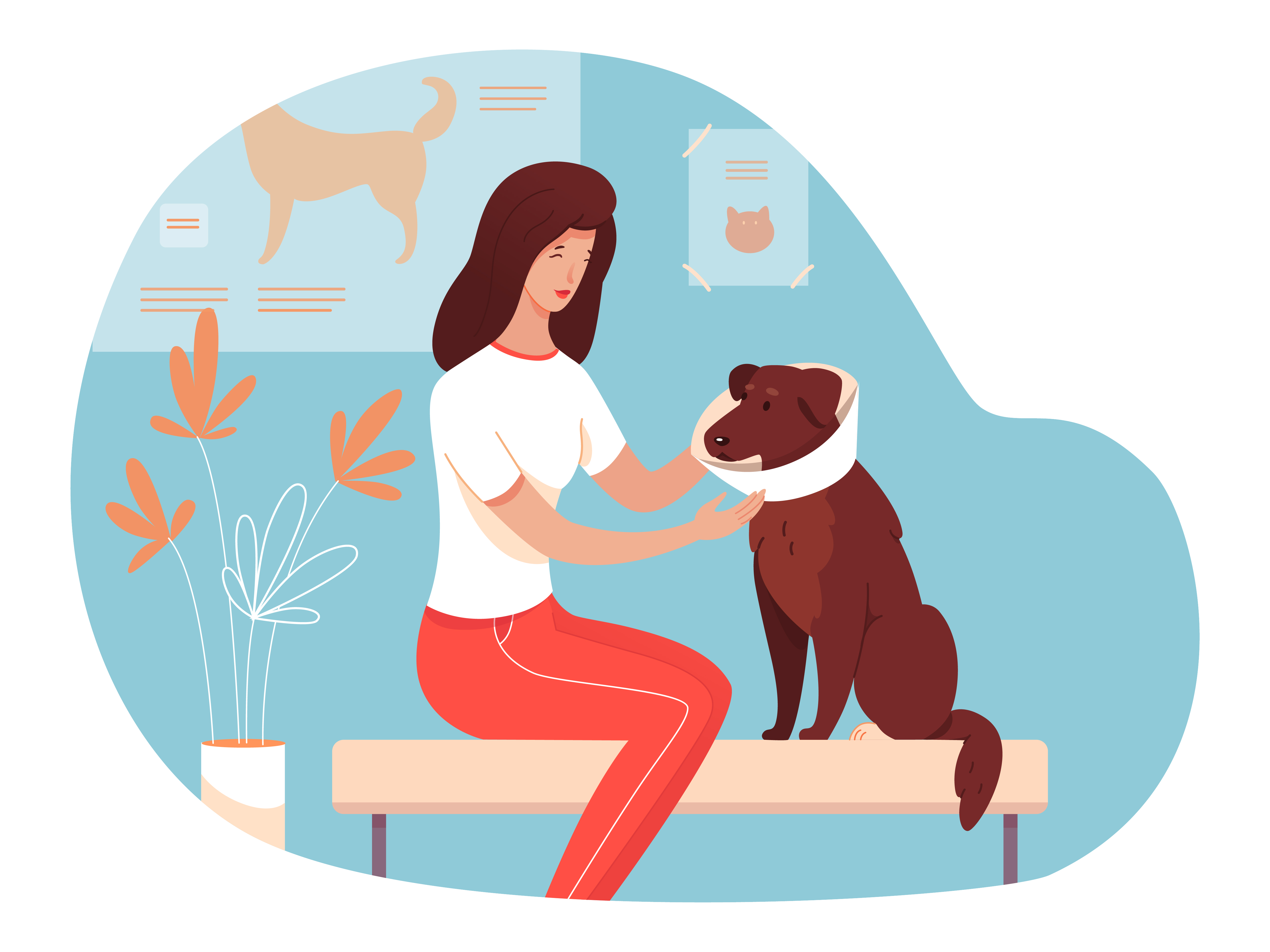 Animal Shelter